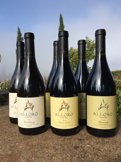 2016 Pinot & Chard Metà