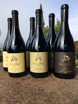 2016 Pinot Noir Trio
