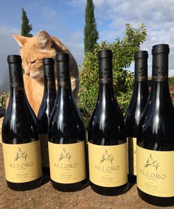 Riservata Pinot Noir Metà